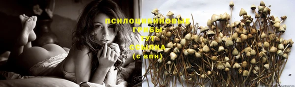 ГАЛЛЮЦИНОГЕННЫЕ ГРИБЫ Алзамай