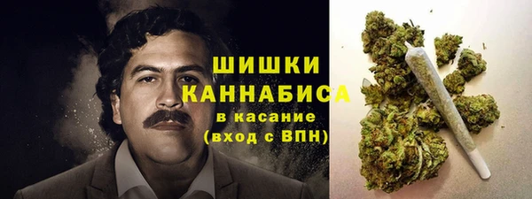 ГАЛЛЮЦИНОГЕННЫЕ ГРИБЫ Алзамай